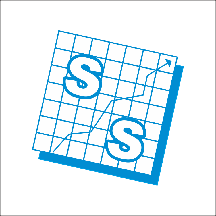 SS Construction